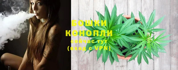 PSILOCYBIN Богданович