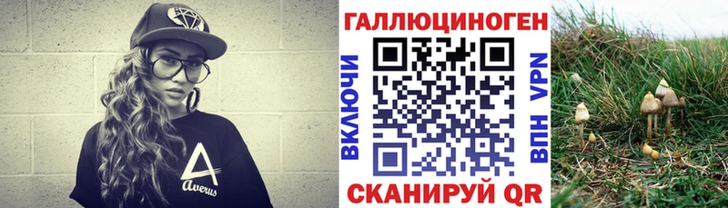 Псилоцибиновые грибы MAGIC MUSHROOMS  darknet какой сайт  Качканар  купить наркоту 